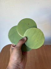Load image into Gallery viewer, *Set of 4* Matte Green Coaster Set
