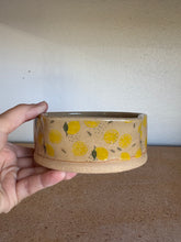 Load image into Gallery viewer, Lemon Love Spotted n Rest
